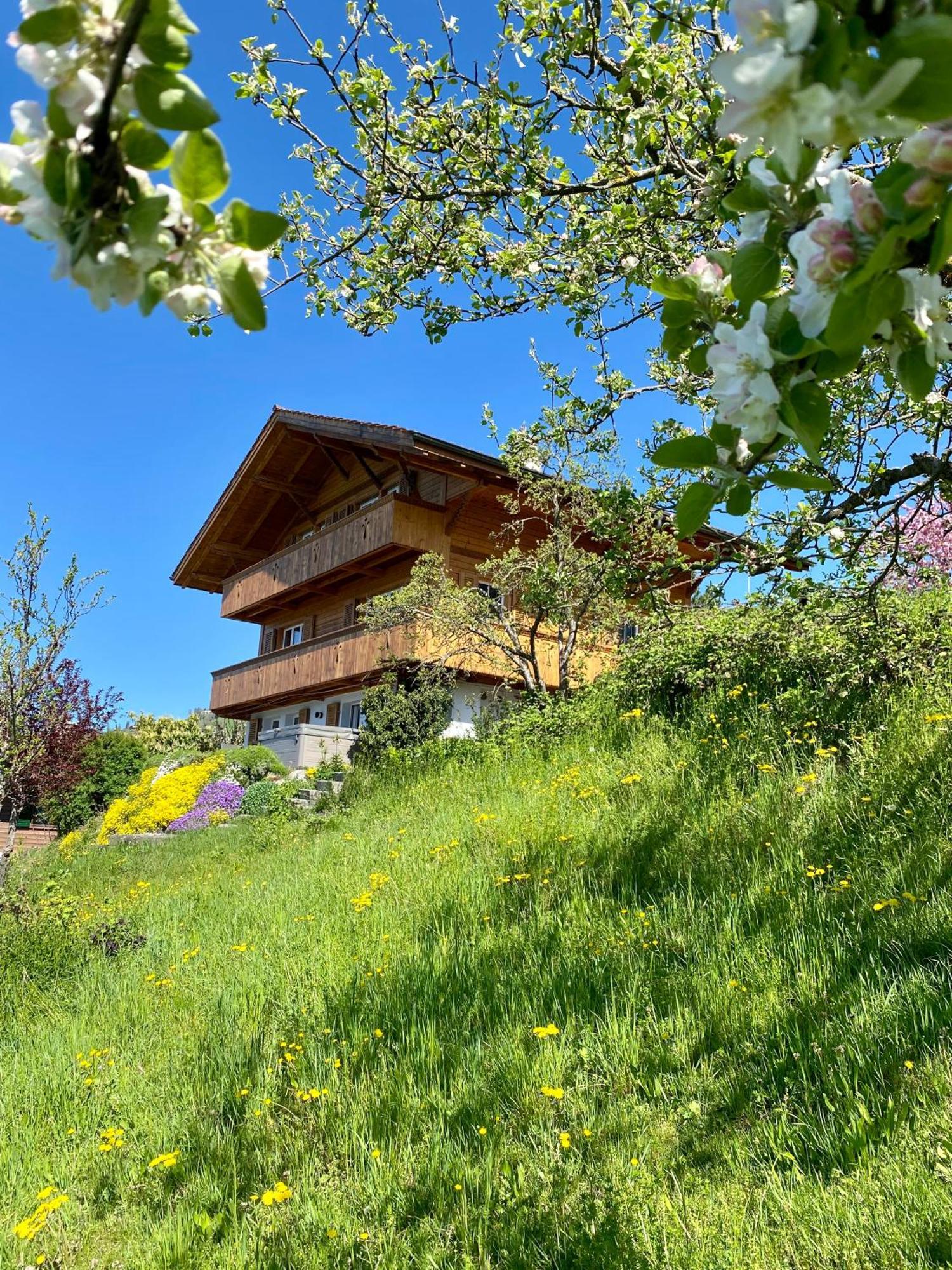 Chalet Egglen "Typical Swiss House, Best Views, Private Jacuzzi" Sigriswil Buitenkant foto
