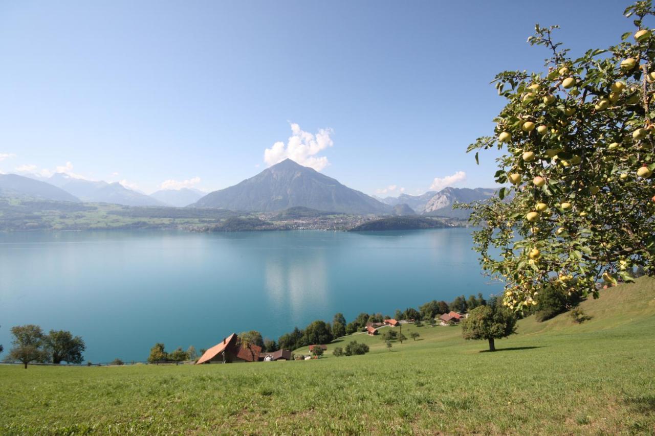 Chalet Egglen "Typical Swiss House, Best Views, Private Jacuzzi" Sigriswil Buitenkant foto