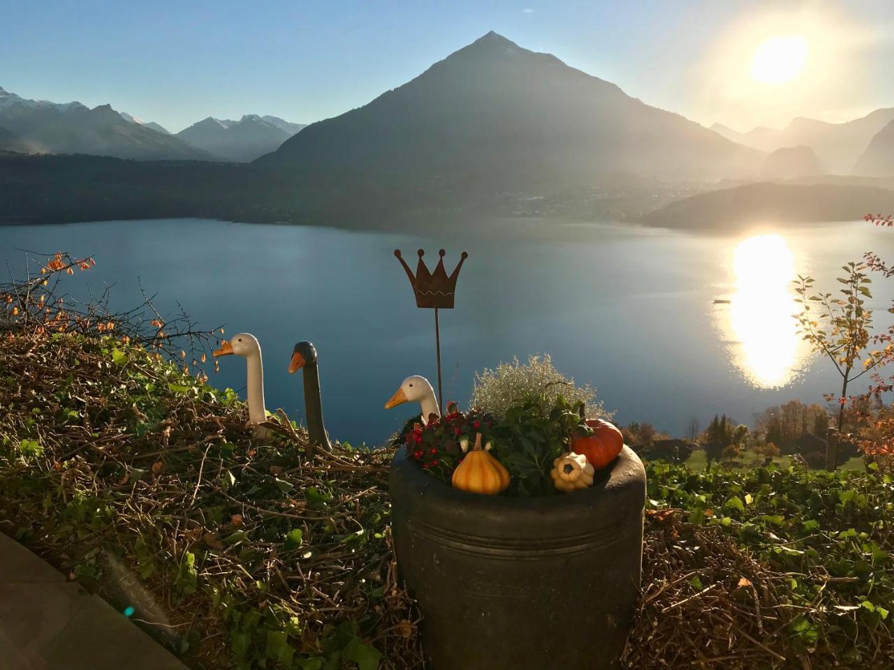 Chalet Egglen "Typical Swiss House, Best Views, Private Jacuzzi" Sigriswil Buitenkant foto
