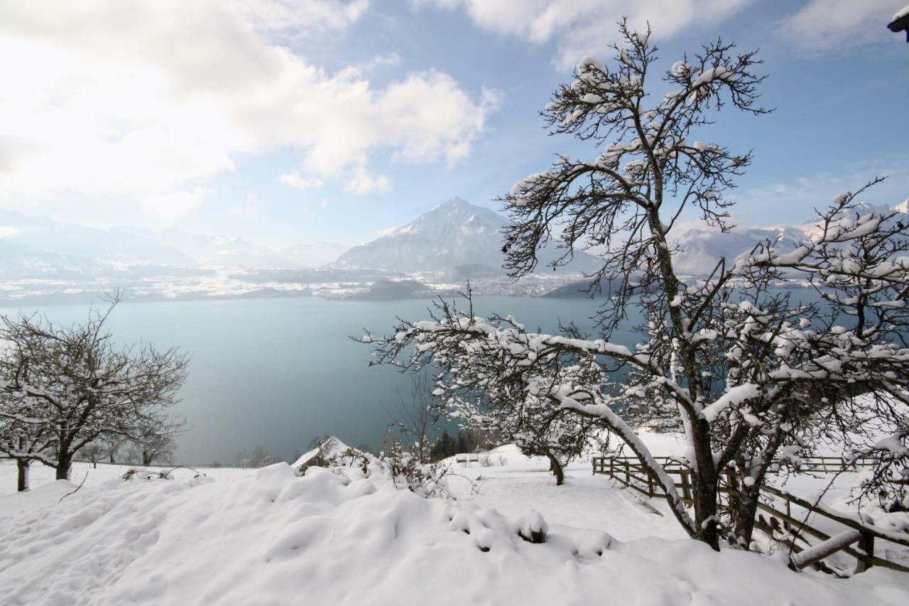 Chalet Egglen "Typical Swiss House, Best Views, Private Jacuzzi" Sigriswil Buitenkant foto