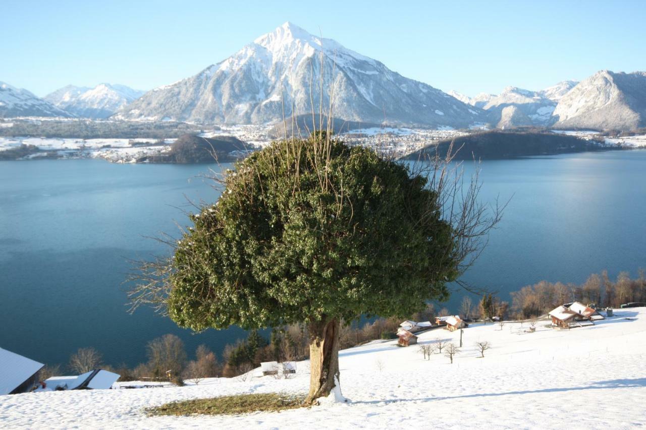 Chalet Egglen "Typical Swiss House, Best Views, Private Jacuzzi" Sigriswil Buitenkant foto