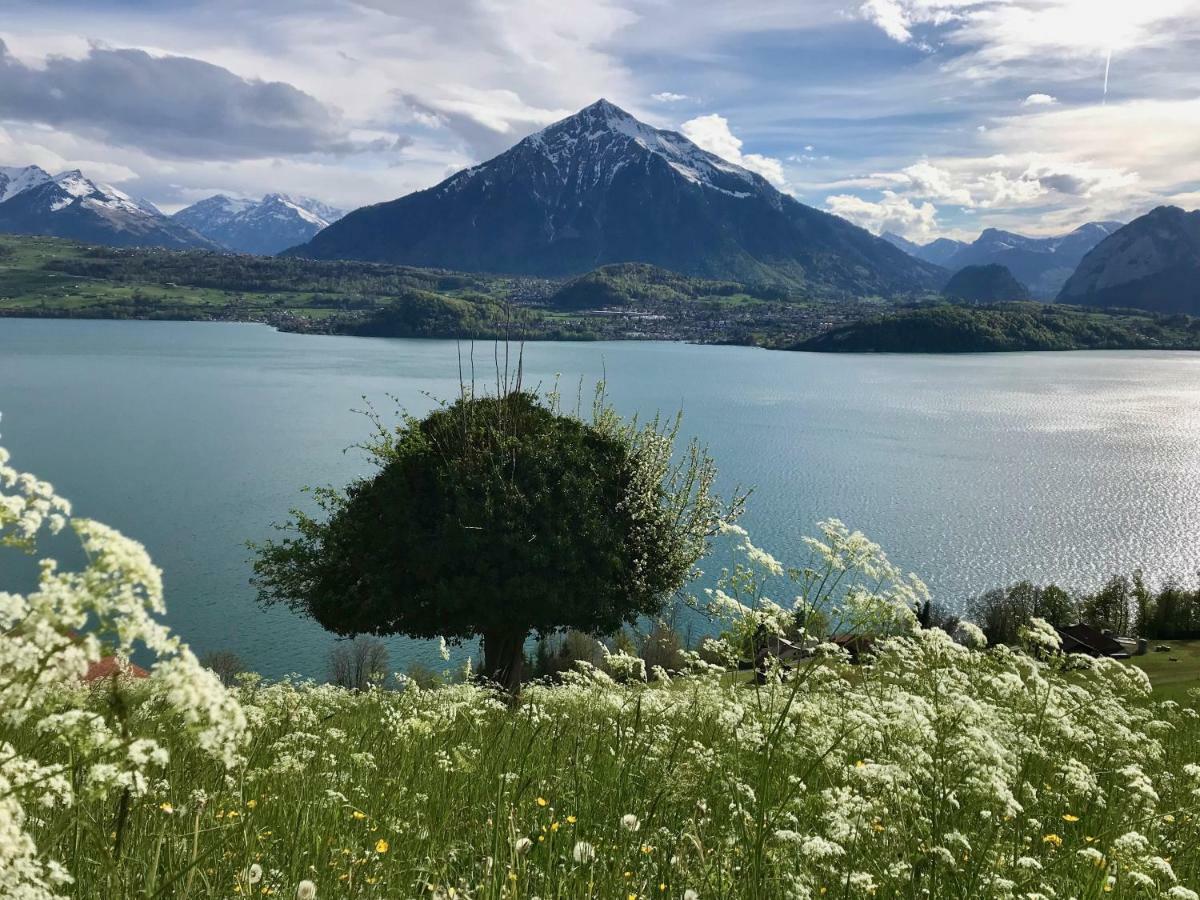 Chalet Egglen "Typical Swiss House, Best Views, Private Jacuzzi" Sigriswil Buitenkant foto